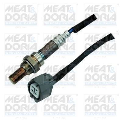 Oxygen Sensor